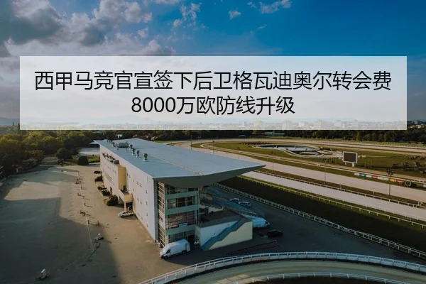 西甲马竞官宣签下后卫格瓦迪奥尔转会费8000万欧防线升级