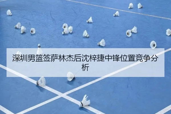 深圳男篮签萨林杰后沈梓捷中锋位置竞争分析
